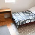 Klimatyczny W Kopalinie * Kopalino
